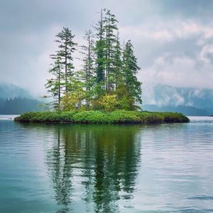 Meet your Posher, Dona